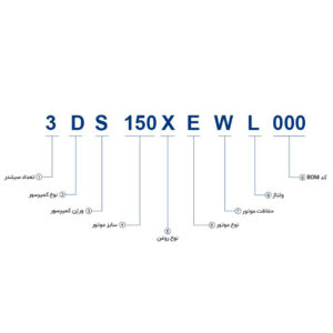 نامگذاری سرری دیسکاس 