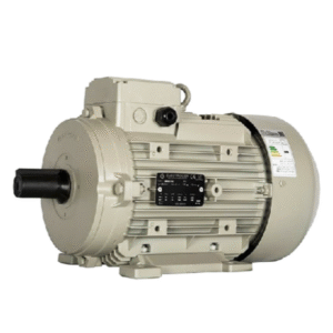 الکتروموتور سه فاز الکتروژن ۰.۲۵ کیلووات ۰.۳۴ اسب ۱۰۰۰ دور