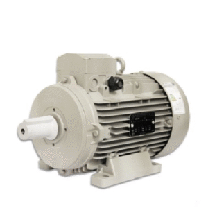 الکتروموتور سه فاز الکتروژن ۰.۵۵ کیلووات ۰.۷۴ اسب ۳۰۰۰ دور