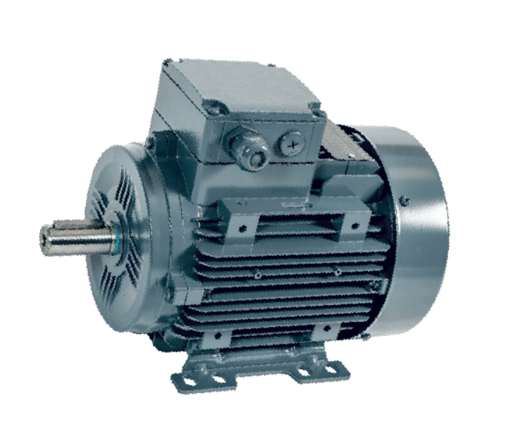 الکتروموتور سه فاز 7.5 کیلووات 10.05 اسب 1000 دور ایلماز ELK 1 الکتروموتور سه فاز 7.5 کیلووات 10.05 اسب 1000 دور ایلماز ELK